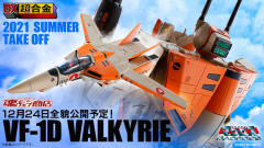 VF-1D瓦尔基里-资料图