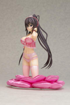DreamTech LingerieStyle Series 篠之之箒 限定版-资料图