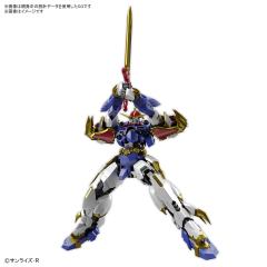 HG Amplified IMGN 龙神丸-资料图