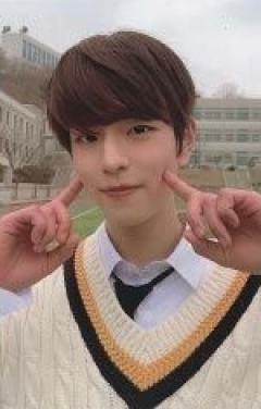 Limited ver