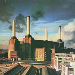 Animals