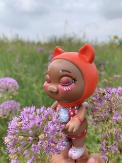 猪小朵儿-吹海风-资料图