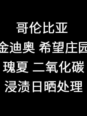 哥伦比亚金迪奥希望庄园瑰夏二氧化碳浸渍日晒