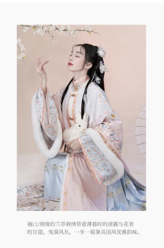 桃花扇-资料图