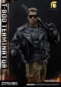 T-800 DX version-资料图