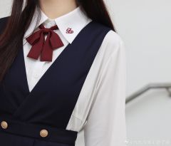 护奶裙套装