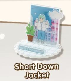 short down jacket亚克力牌