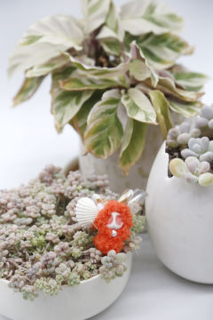 卡塔卡塔-红色-资料图