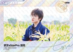 武汉eStarPro.坦然