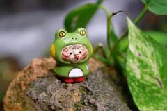 小青蛙Mini Bu-资料图