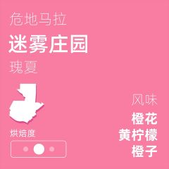 迷雾庄园