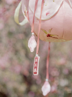 桃花上上签-资料图