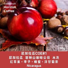 尼加拉瓜 COE#1