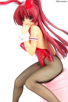 向坂环 Bunny ver.-资料图