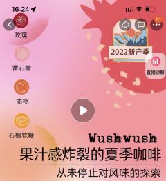 良致  WushWush稀有豆种埃塞瑰夏村 浅焙精品手冲美式咖啡豆 100g