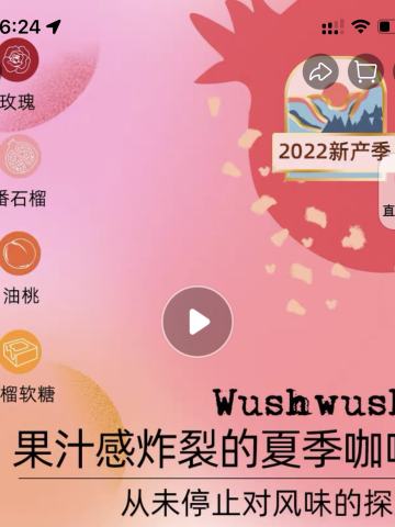 良致  WushWush稀有豆种埃塞瑰夏村 浅焙精品手冲美式咖啡豆 100g