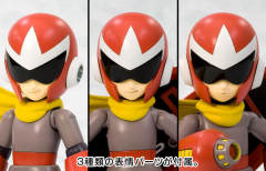 Character Plastic Model 布鲁斯-资料图