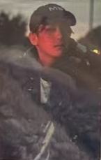 bolo1贴纸卡ver.I