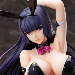 Character's Selection 绯奈泽智花 Bunny ver.-资料图