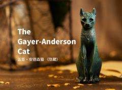 隐藏款-盖亚安德森猫-资料图