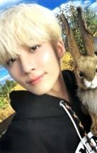 2022 D社卡册 verA.