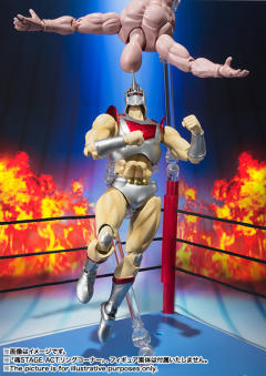 SHF 罗宾假面 Original Color Edition-资料图