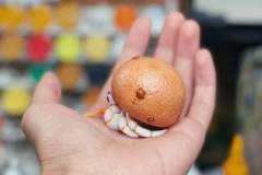 麻薯寄居蟹-资料图