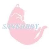 山儿SANERBBY