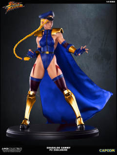 Mixed Media 嘉米·怀特 Shadaloo Cammy-资料图