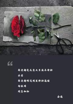 某某2-资料图
