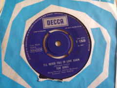 I'll Never Fall In Love Again