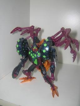 狼蛛