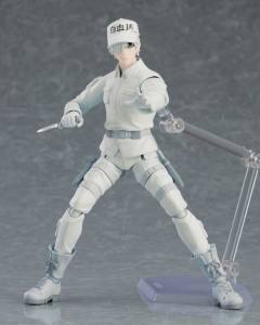 figma#489 白细胞 U-1146-资料图