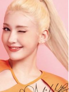 LOREAL代言卡 ver.C