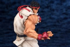 Fighters Legendary 隆 Milestone Limited Edition-资料图