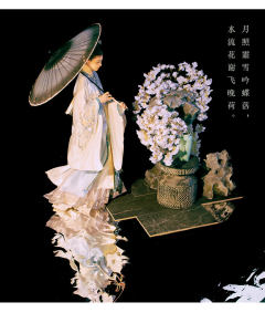 霜蝶栩栩-资料图