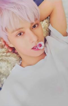WHITE ver