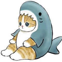 猫福珊迪