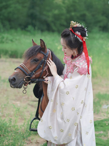 四君子兰