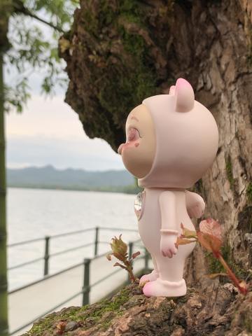 猪小朵儿—桃桃子