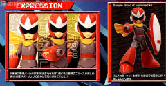 Character Plastic Model 布鲁斯-资料图