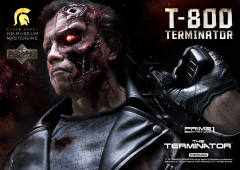 T-800 DX version-资料图