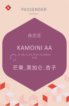 肯尼亚 KAMOINI AA