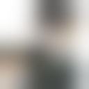 爱德华·米多福特