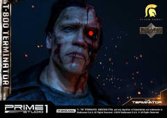 T-800 DX version-资料图