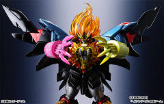 始源Gaogaigar-资料图