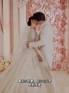 重生小娇妻陆少心尖宠
