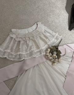 花本花 OP-资料图