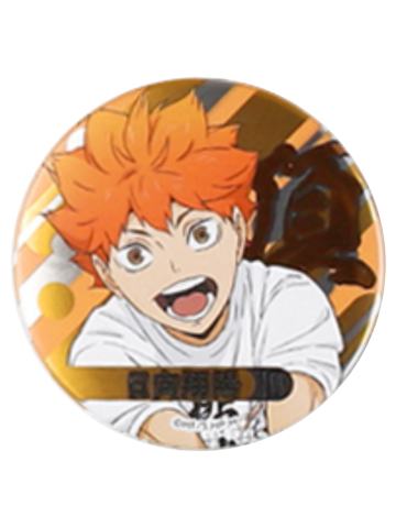 日向翔阳-2021合同练习会吧唧