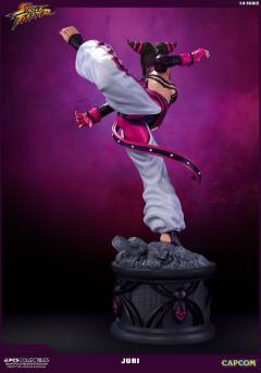 Street Fighter Ultra 韩蛛俐 -资料图
